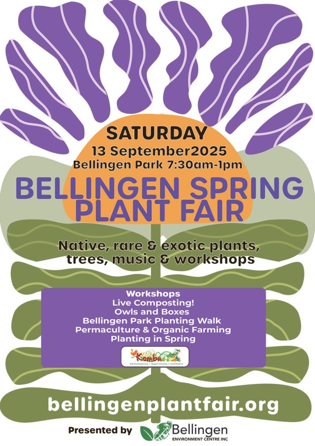 2025 PROPOSAL NEW POSTER_WORKSHOPS-2