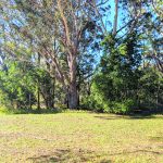 Bellingen Council Advances Ferry Street Affordable Housing