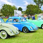 Dub Bash comes to Bellingen Showground