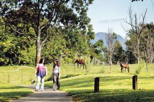 Council welcomes findings in Community Pulse Scorecard
